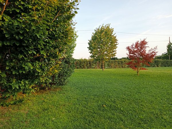 casa indipendente in vendita a Breda di Piave