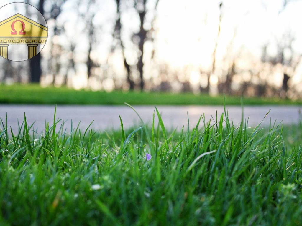 terreno edificabile in vendita a Breda di Piave in zona Vacil