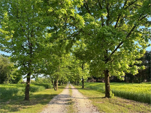 casa indipendente in vendita a Breda di Piave
