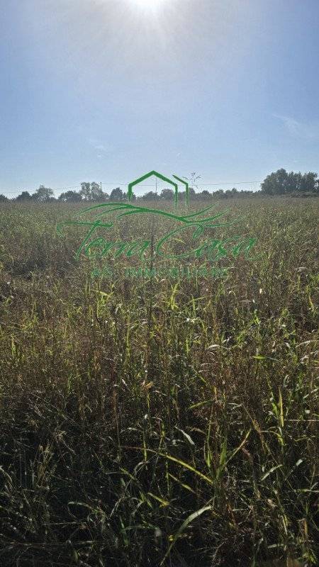 terreno in vendita a Breda di Piave in zona Vacil