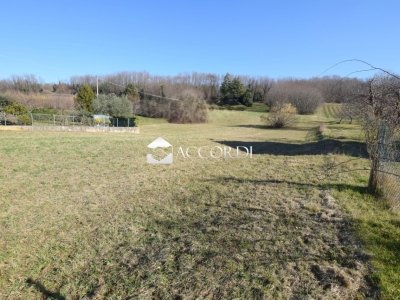 terreno agricolo in vendita a Caerano di San Marco