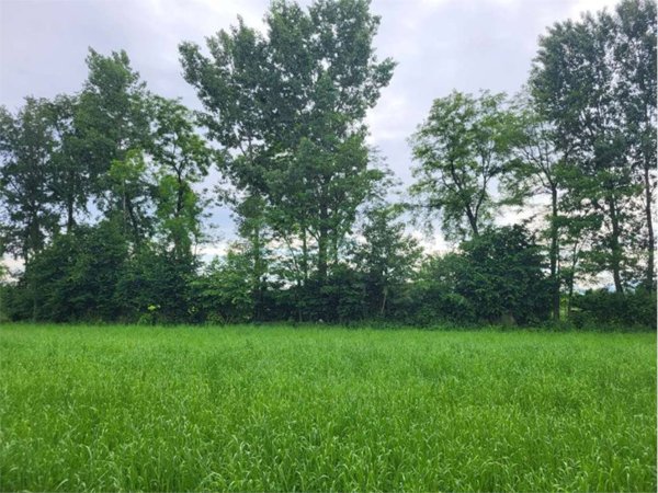 terreno agricolo in vendita a Caerano di San Marco