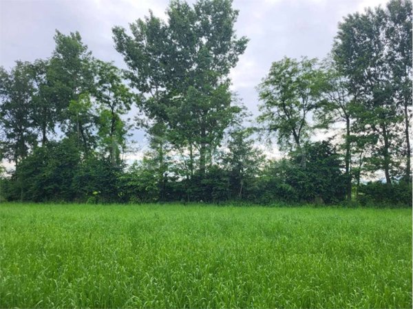 terreno agricolo in vendita a Caerano di San Marco