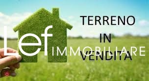 immagine annuncio 0 di 10