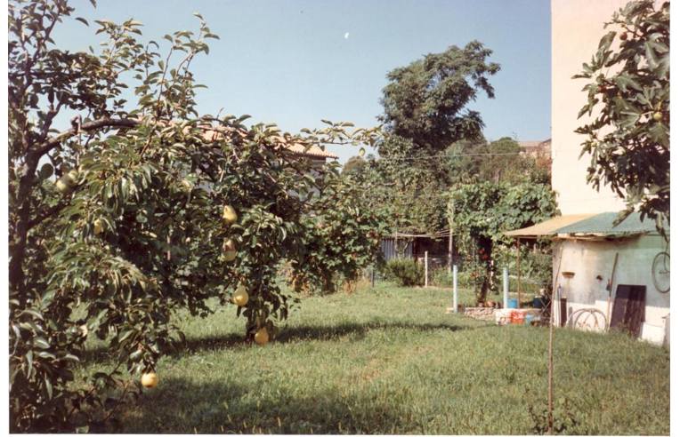 casa indipendente in vendita a Cappella Maggiore