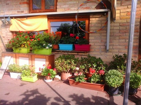 casa indipendente in vendita a Cappella Maggiore