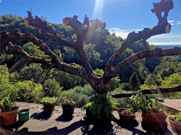 casale in vendita a Cappella Maggiore