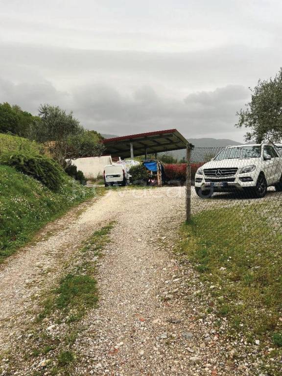 azienda agricola in vendita a Cappella Maggiore