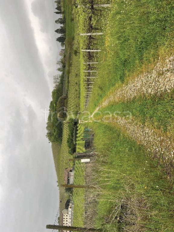 terreno agricolo in vendita a Cappella Maggiore