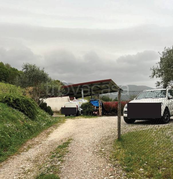 terreno agricolo in vendita a Cappella Maggiore