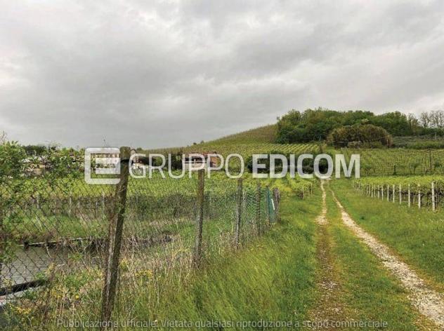 terreno agricolo in vendita a Cappella Maggiore