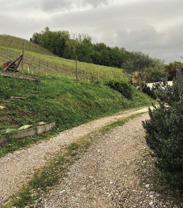 casa indipendente in vendita a Cappella Maggiore