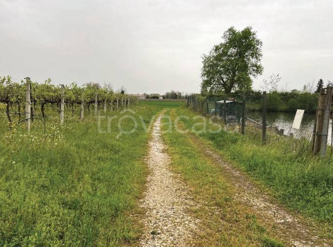 terreno agricolo in vendita a Cappella Maggiore