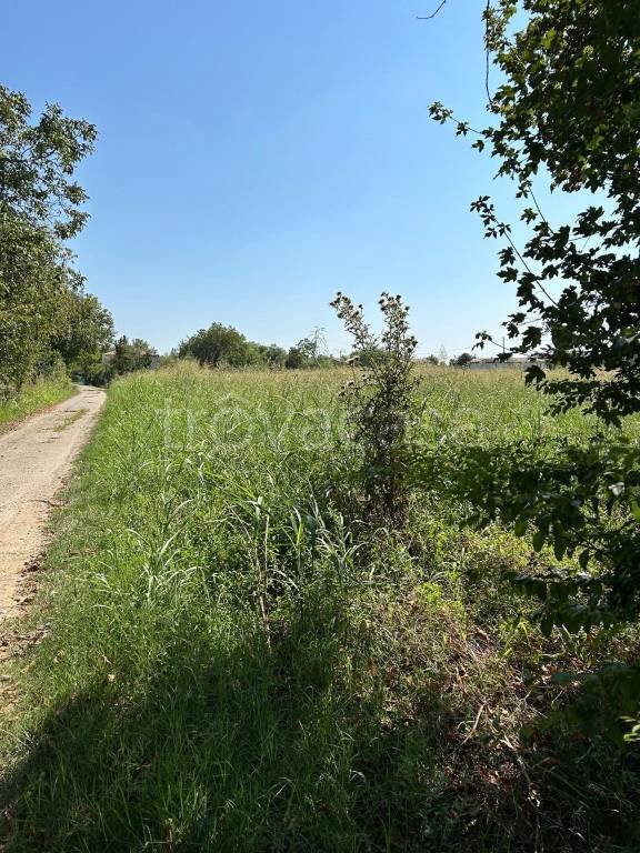 terreno agricolo in vendita a Carbonera in zona Vascon