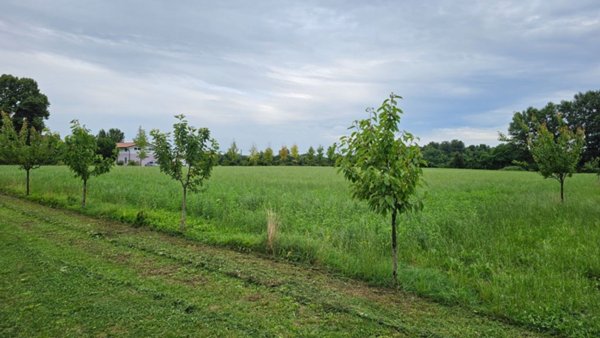 terreno agricolo in vendita a Carbonera in zona Pezzan