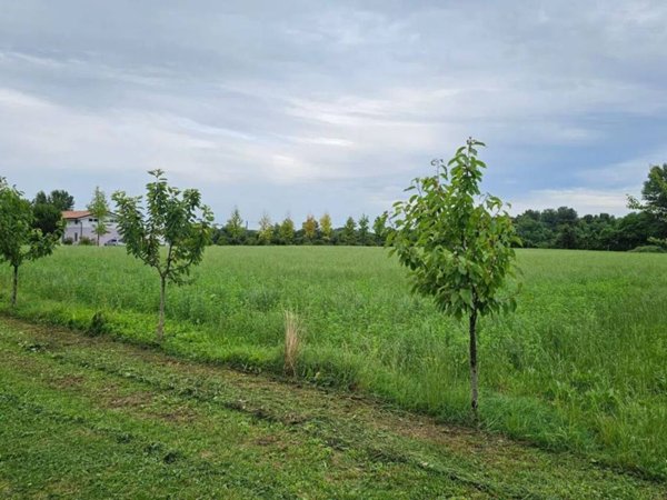 terreno agricolo in vendita a Carbonera