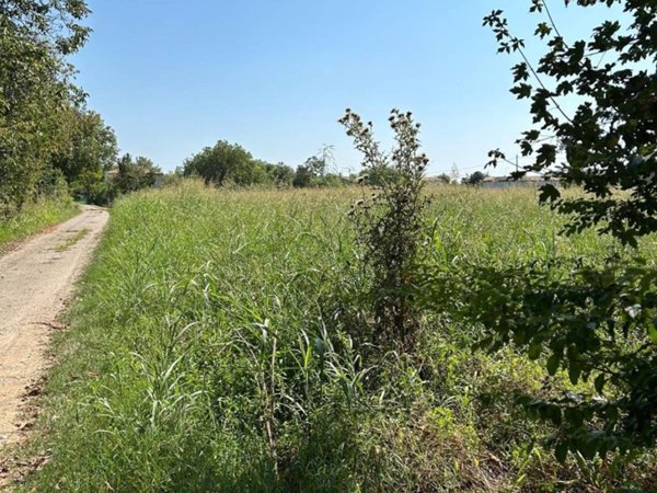 terreno agricolo in vendita a Carbonera in zona Vascon