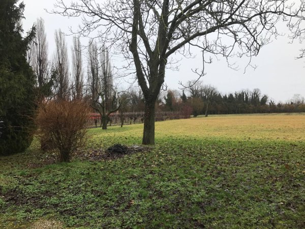 terreno agricolo in vendita a Carbonera in zona Vascon