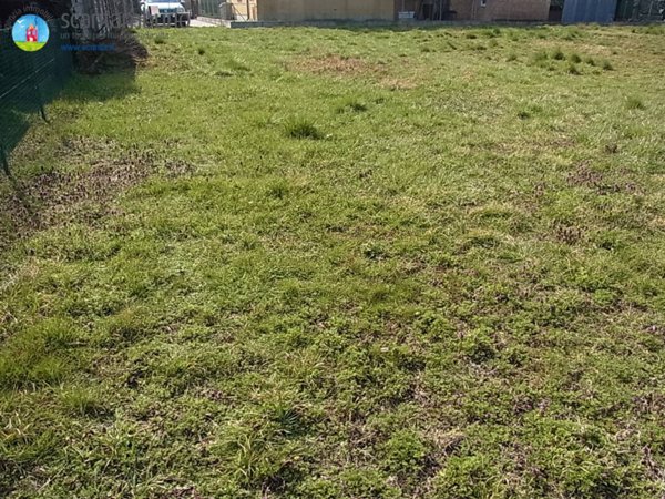 immagine annuncio 0 di 10