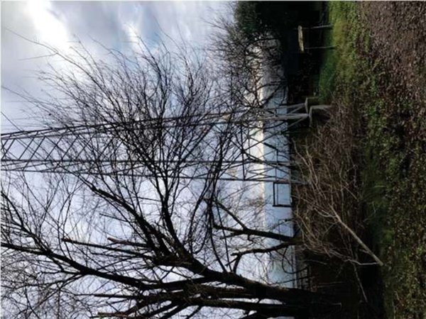 immagine annuncio 0 di 1