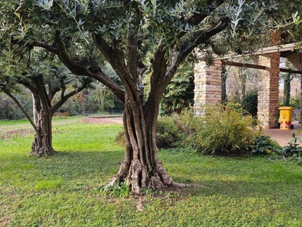 casa indipendente in vendita a Carbonera