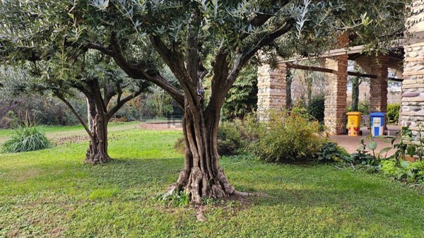 casa indipendente in vendita a Carbonera