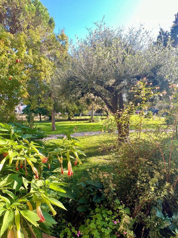 casa indipendente in vendita a Carbonera