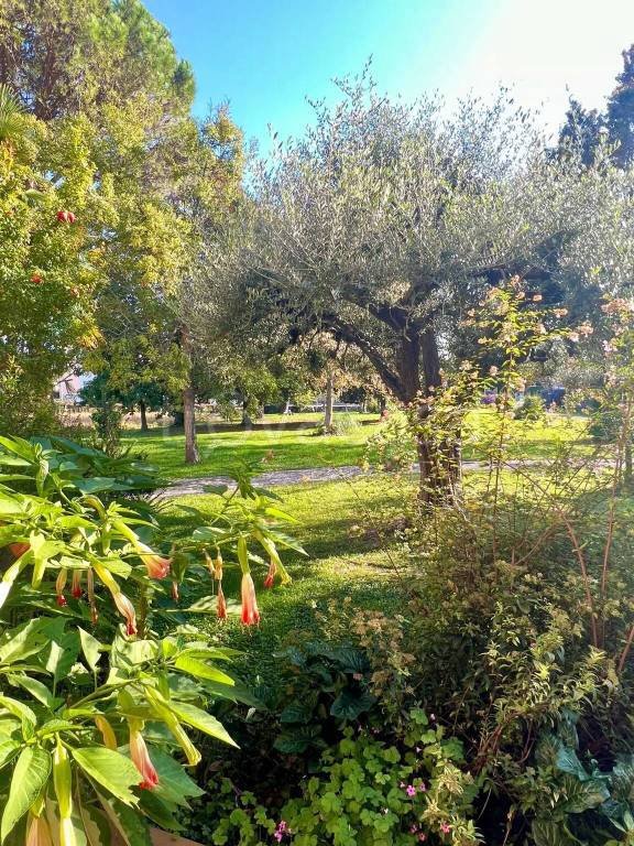 casa indipendente in vendita a Carbonera