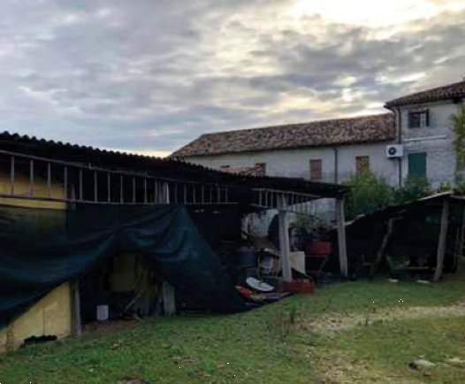 casa indipendente in vendita a Carbonera