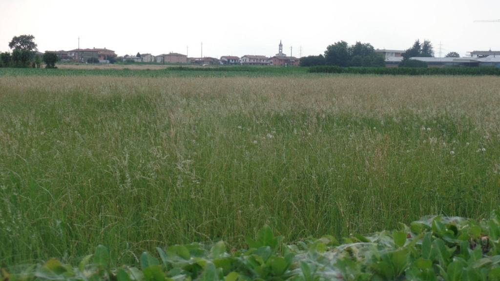 terreno agricolo in vendita a Carbonera