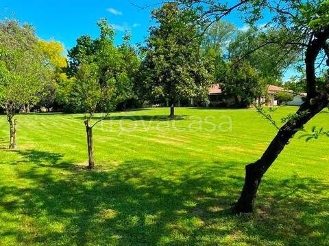 casa indipendente in vendita a Carbonera
