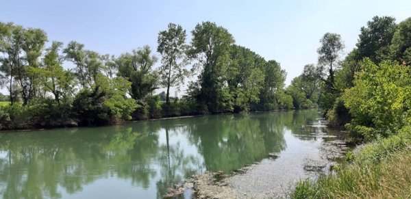 casa indipendente in vendita a Casale sul Sile