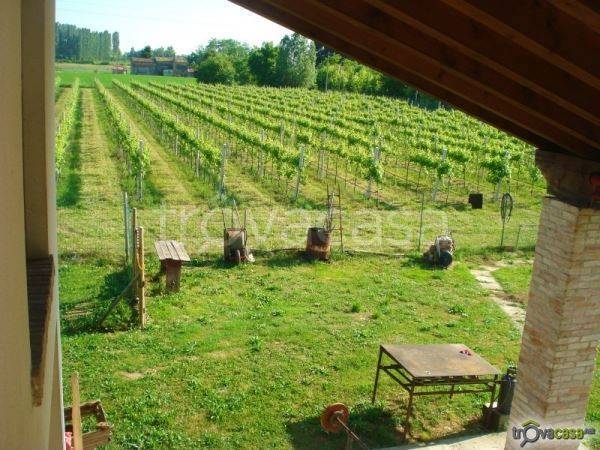 terreno agricolo in vendita a Casale sul Sile