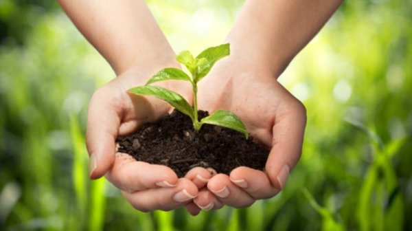 casa indipendente in vendita a Casale sul Sile