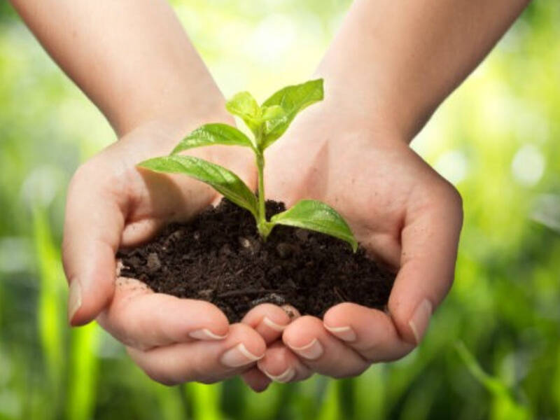 terreno agricolo in vendita a Casale sul Sile