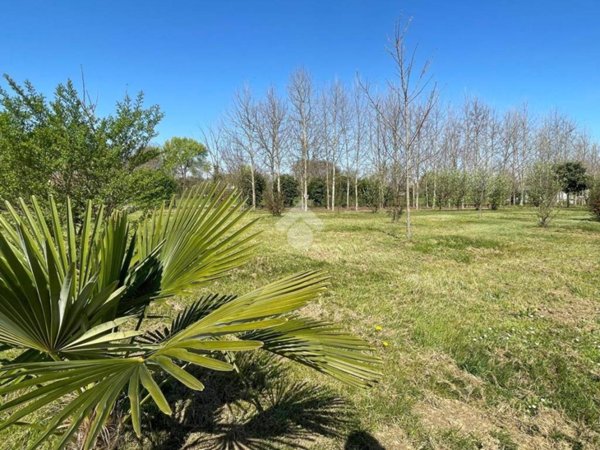 casa indipendente in vendita a Casale sul Sile