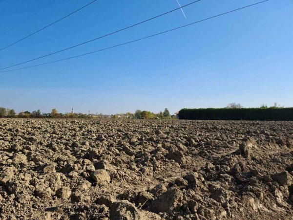 casa indipendente in vendita a Casale sul Sile