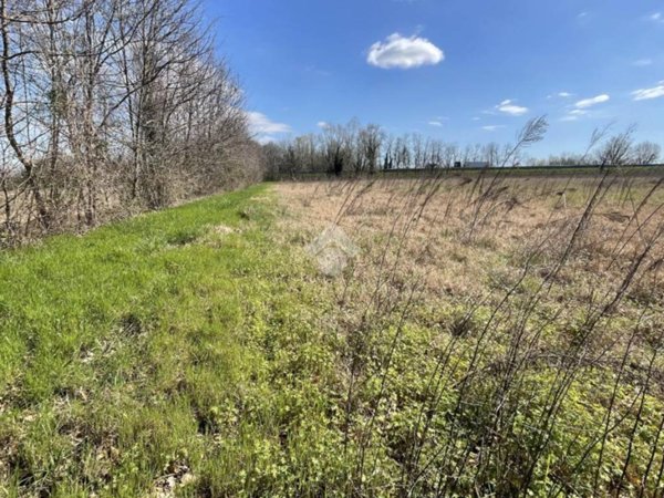 terreno agricolo in vendita a Casale sul Sile in zona Lughignano
