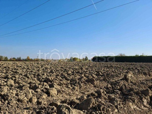 terreno agricolo in vendita a Casale sul Sile