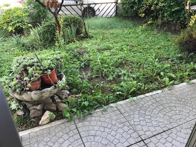 casa indipendente in vendita a Casale sul Sile in zona Lughignano