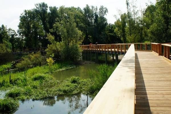 appartamento in vendita a Casale sul Sile in zona Lughignano