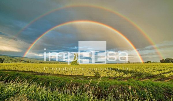 casa indipendente in vendita a Casale sul Sile in zona Conscio