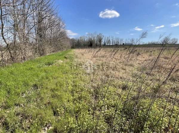 casa indipendente in vendita a Casale sul Sile