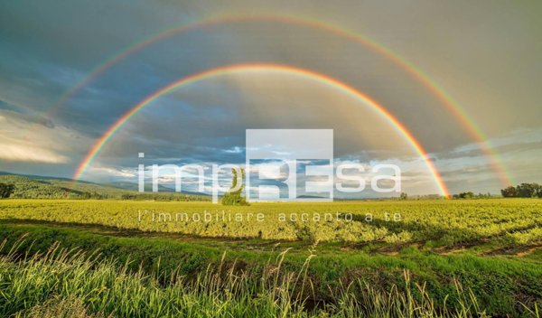 casa indipendente in vendita a Casale sul Sile in zona Conscio