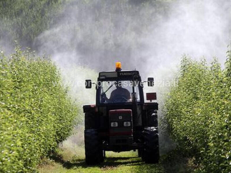 terreno in vendita a Casale sul Sile
