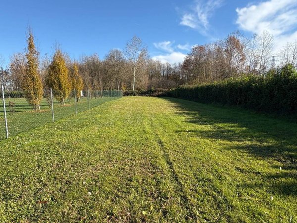 terreno agricolo in vendita a Casale sul Sile in zona Conscio