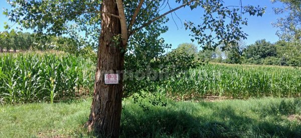 casa indipendente in vendita a Casale sul Sile in zona Lughignano