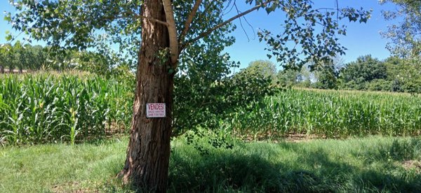 casa indipendente in vendita a Casale sul Sile in zona Lughignano