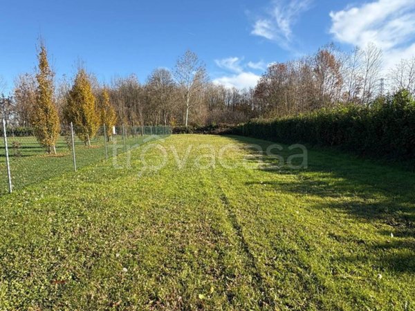terreno agricolo in vendita a Casale sul Sile in zona Conscio