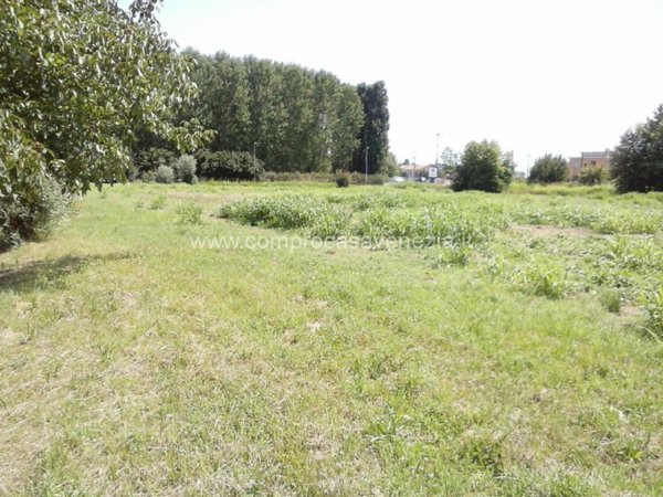 terreno in vendita a Casale sul Sile